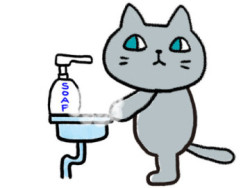 11月雨多くなかったです？
