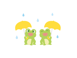 先日から