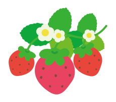 ありがとう(*^-^*)