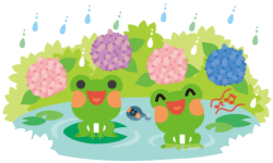 青梅雨
